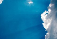 Earthday Report Card