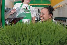 Butchers to Bakers, BOSB’06