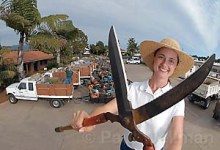 Roof to Roots, BOSB’06