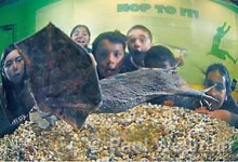 Highbrow to Get-Down, BOSB’06