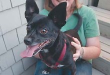 Rugrats to Kittycats, BOSB’06