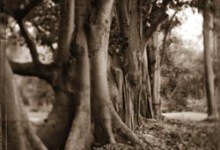 A Sense of Place at the Metro Gallery.