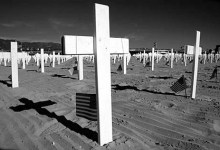 Social Consciousness