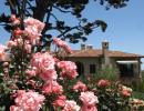 Union Busting and Garden Parties