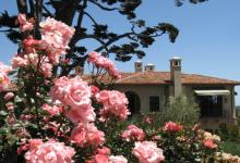 Union Busting and Garden Parties