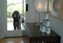 Anissa Mack: On Loan at the Contemporary Arts Forum