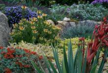Preparing Your Garden for Fall