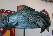 Steelhead Artist