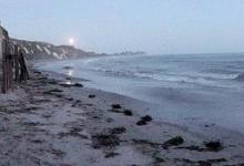 Dirty Beach Seeks Volunteers