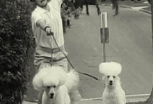 UCSB’s 16th Annual Reel Loud Film Festival