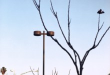 A Beautifully Obstructed View: Photographs by Kate Connell and Larry Mills