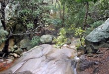 Rattlesnake Canyon Trail