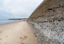 Life and Death in the Sandy Shadows of Coastal Armor