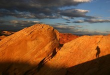 Wonderland of Rock