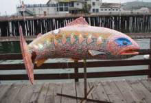 Giant Salmon Swims Into SB