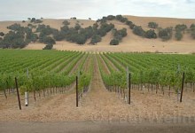 Showdown Over Wide Open Spaces