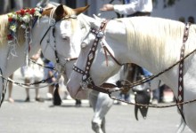 Fiesta Equestrian Parade