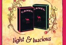 Capps Hates Pink Camel