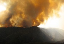 The Fire and the Wild
