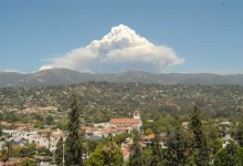 Six Weeks and Burning