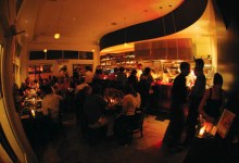 From Markets to Midnights, Eating Up the Hungry Cat