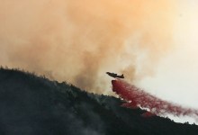 Fire Fighters Make Great Progress on Zaca Fireline