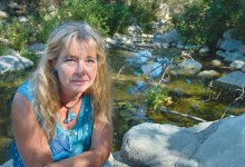 Shallow Waters for Steelhead?