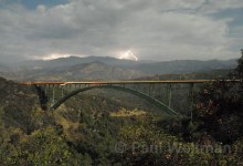 Another Cold Spring Bridge Suicide