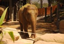 Housing Sales Rise as Real Estate Prices Soar