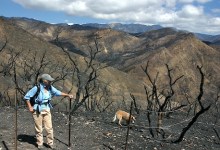 Forest Closure to be Reduced