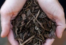 Organic Materials