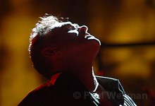 Morrissey