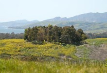 Transfer of Development Rights at Gaviota Gateway Debated Again