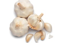 Growing Garlic