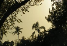 New Fire Burns in Northern SB County