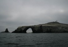 A Journey to Anacapa Island’s Dark Side