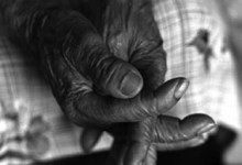 Recommended Wine Books for the Holidays