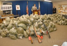 Sheriff Investigates Drug Cartel in County