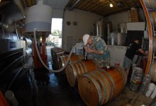 Valley Grown and City Pressed, Jaffurs Wine Cellars Harvests Its ’07s