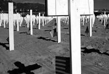 Vets Against War Prep for Saturday Protest
