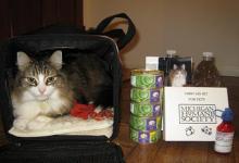 Are You and Your Pet Ready For a Disaster?