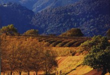 3 Reasons to Go Exploring in the Beautiful Santa Ynez Valley