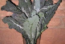 Cavolo Nero
