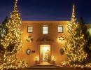 Tree-Lightings, Web Hackings, and Coral Casino-ings
