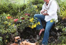 A Voice from Heaven, a Gift of Painful Wisdom