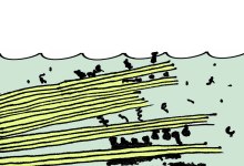 UCSB Scientist Hypothesizes That Life Began in Undersea Mica