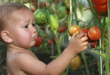 How Nature Nurtures Children