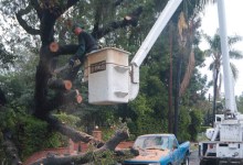 Finally, Some Weather