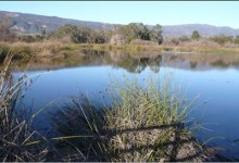 A Nightmare and a Dream