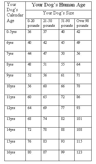 Chart For Dog Years To Human Years